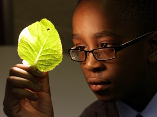 RDS Primary Science Fair
